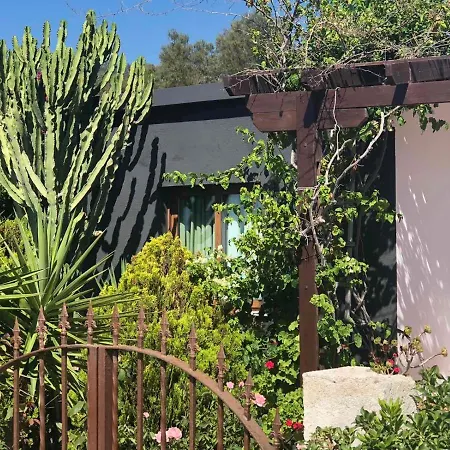 Spiti Damianos Beachfront Willa