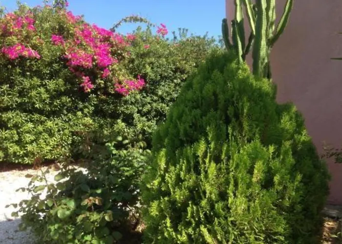 Spiti Damianos Beachfront