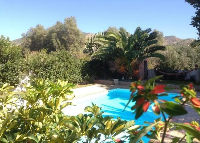 Spiti Damianos Beachfront *